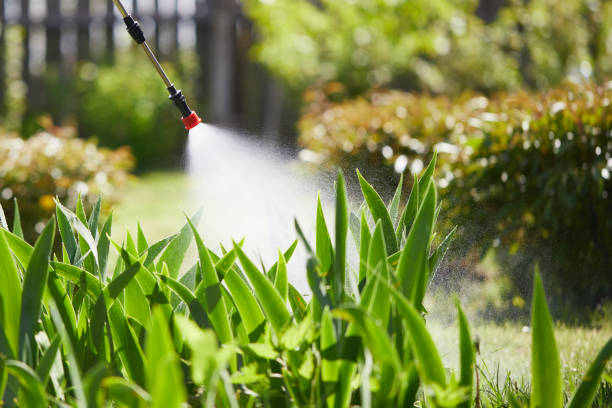 Void Injection for Cockroach Colonies in Cypress Gardens